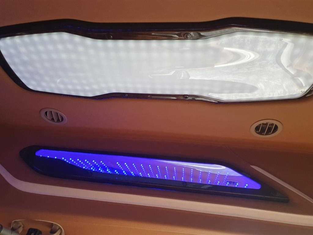 KIA Carnival - Vista 11