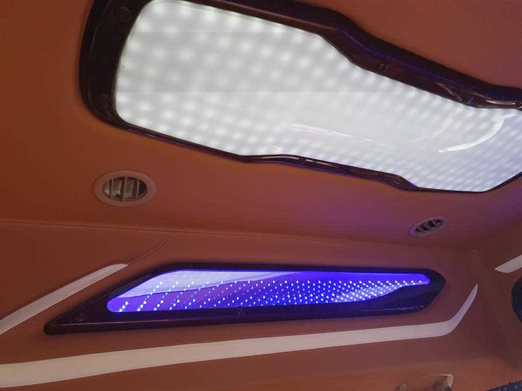 KIA Carnival - Vista 9