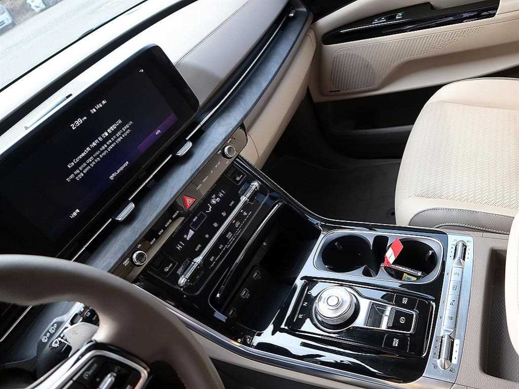 KIA Carnival - Vista 10