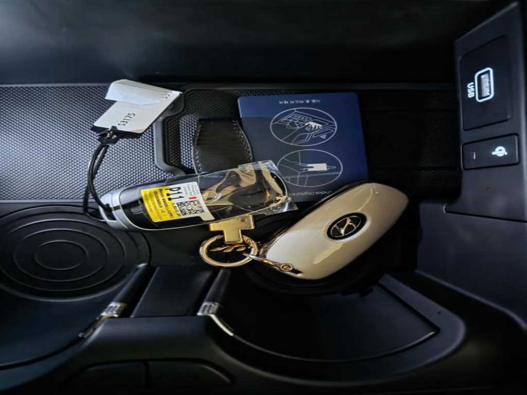 HYUNDAI Palisade 2024 - Importación desde Corea - HF Imports Iquique - Foto 20