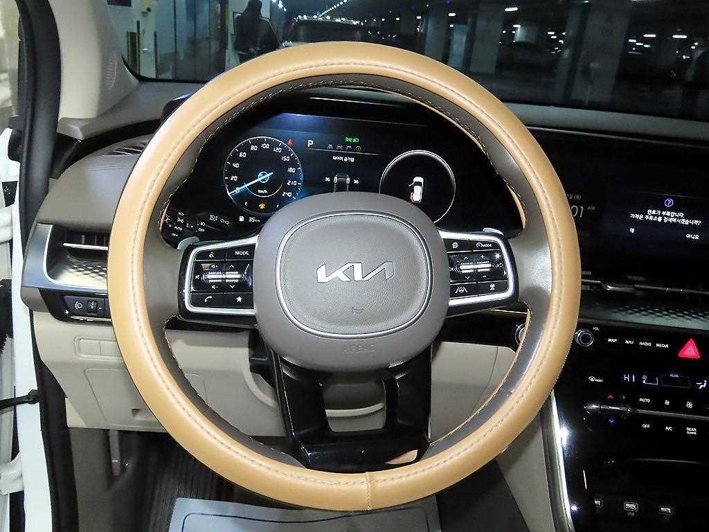 KIA Carnival - Vista 8