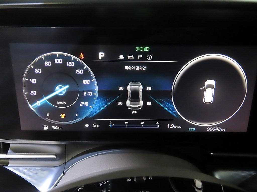 KIA Carnival - Vista 9