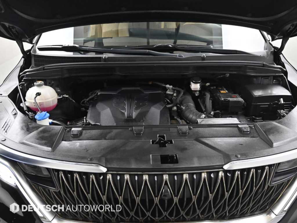 KIA Carnival - Vista 6