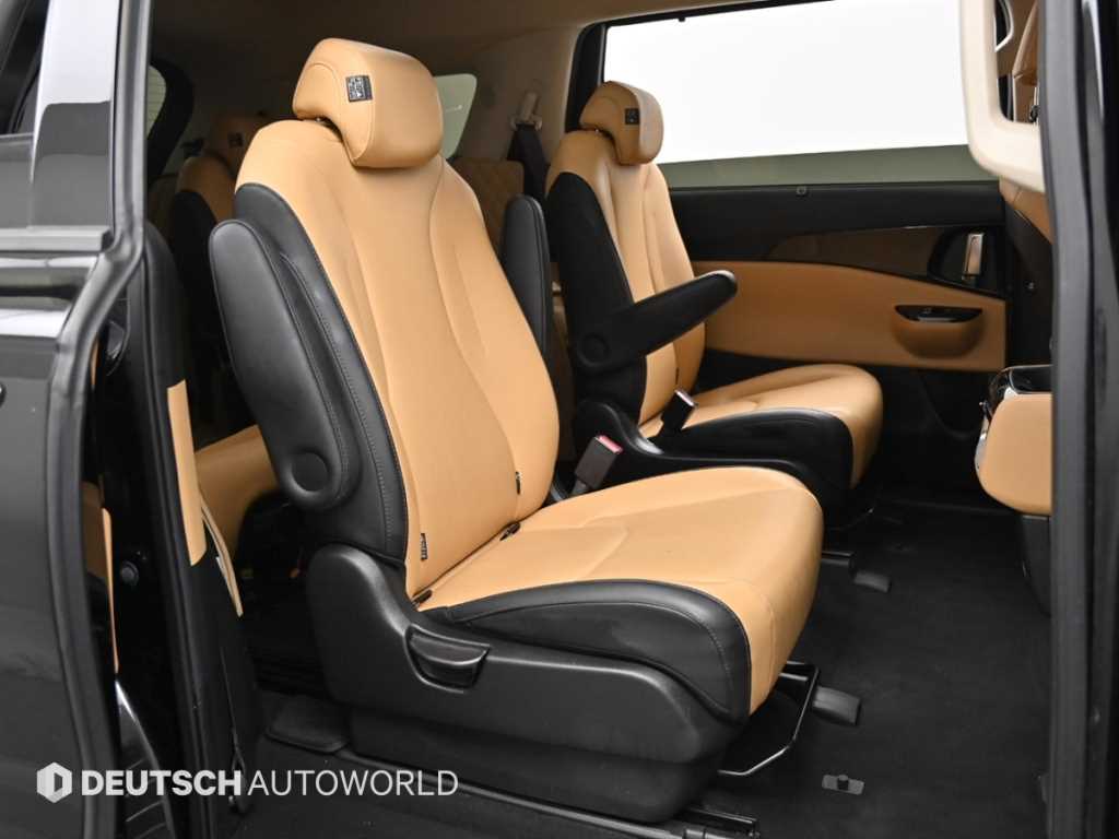 KIA Carnival - Vista 12