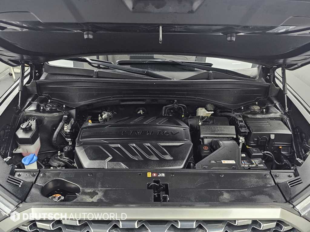 HYUNDAI Palisade - Vista 6