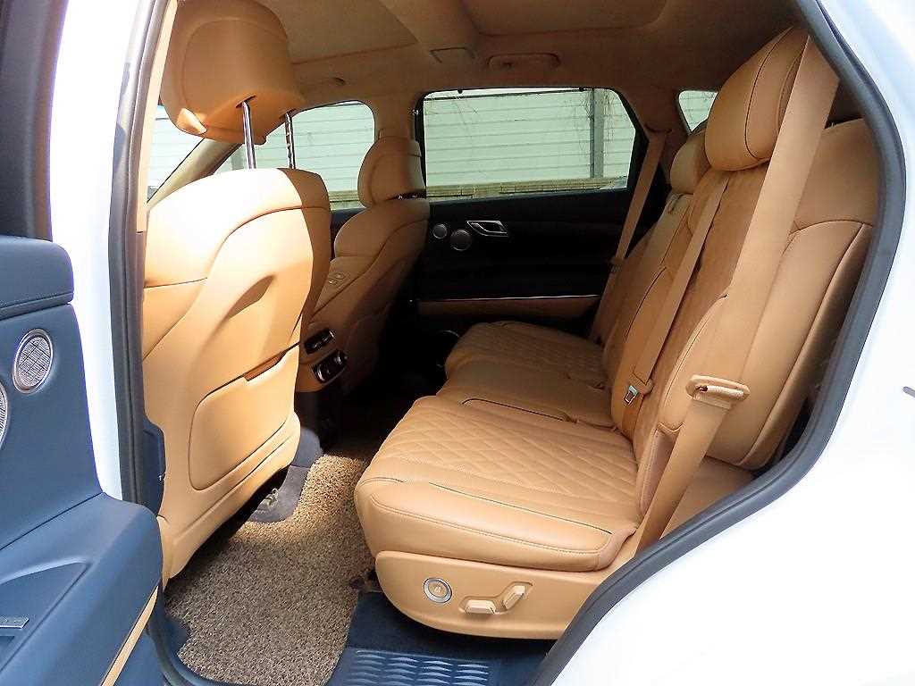 Genesis GV80 - Vista 6