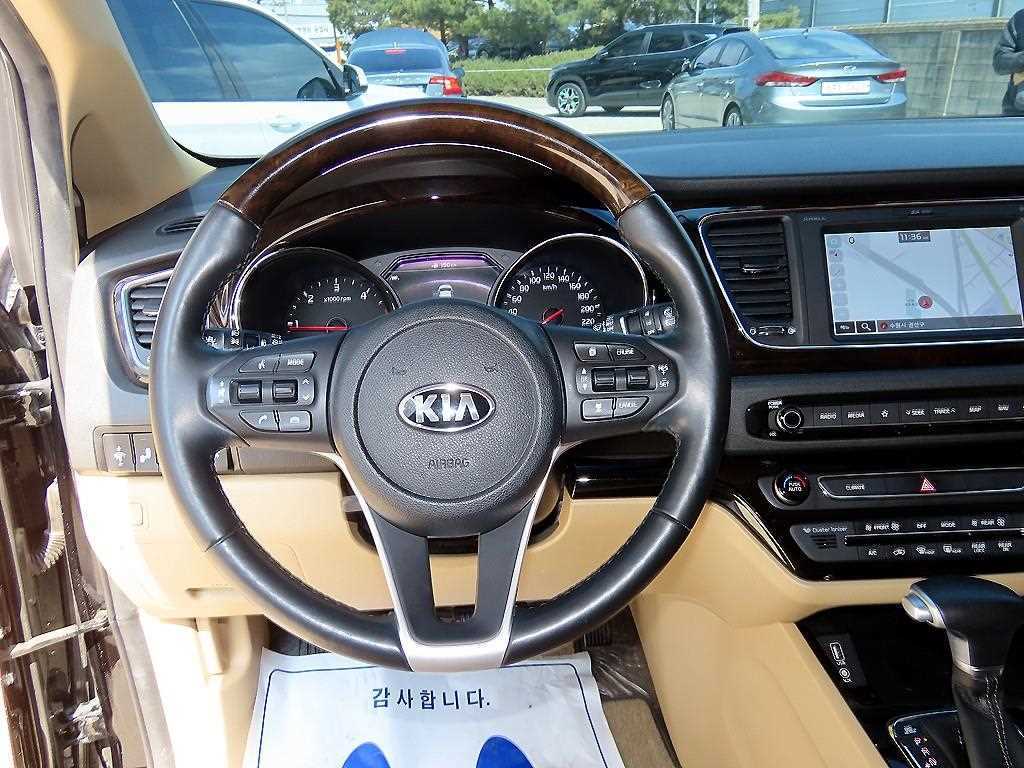 KIA Carnival - Vista 8