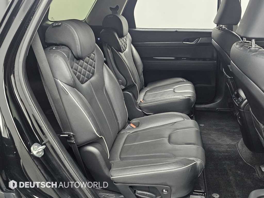 HYUNDAI Palisade - Vista 12