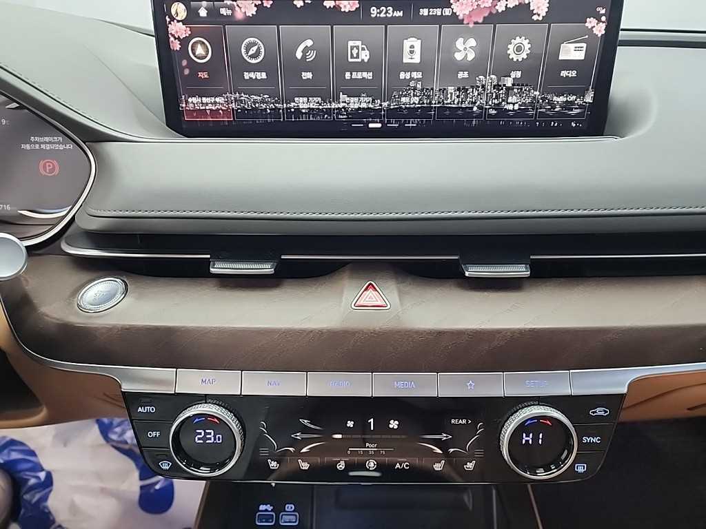 Genesis G80 - Vista 10