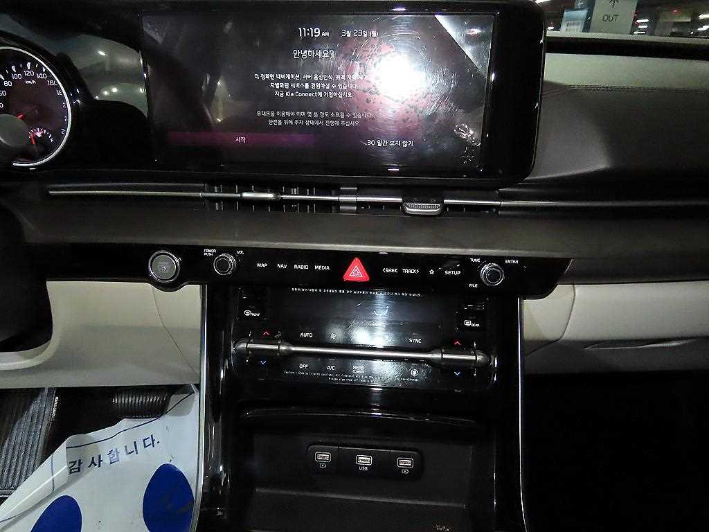 KIA Carnival - Vista 11