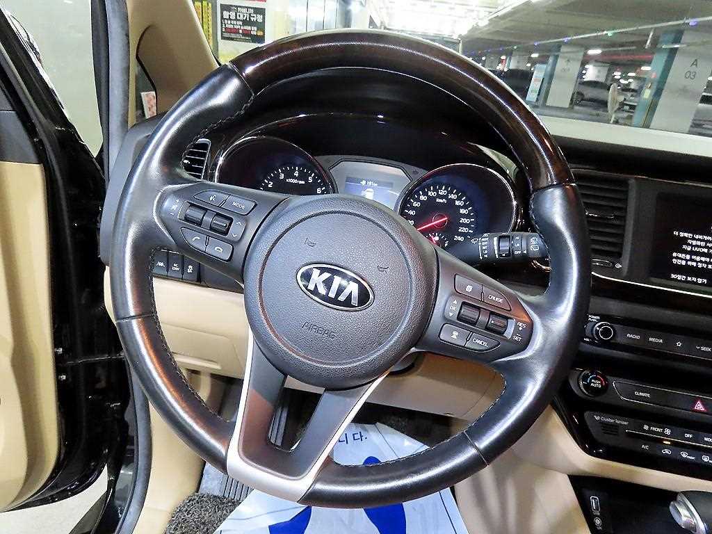 KIA Carnival - Vista 8