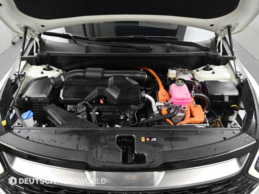 KIA Sportage - Vista 6