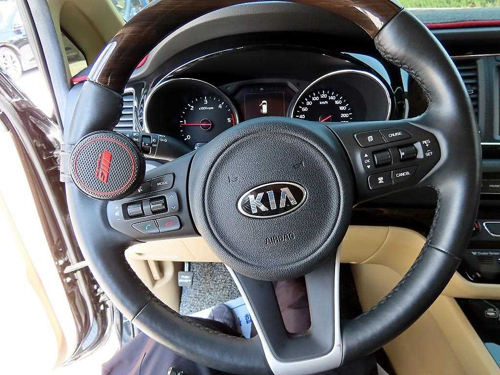 KIA Carnival - Vista 9