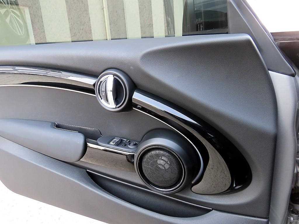 Mini Cooper Electric - Vista 12