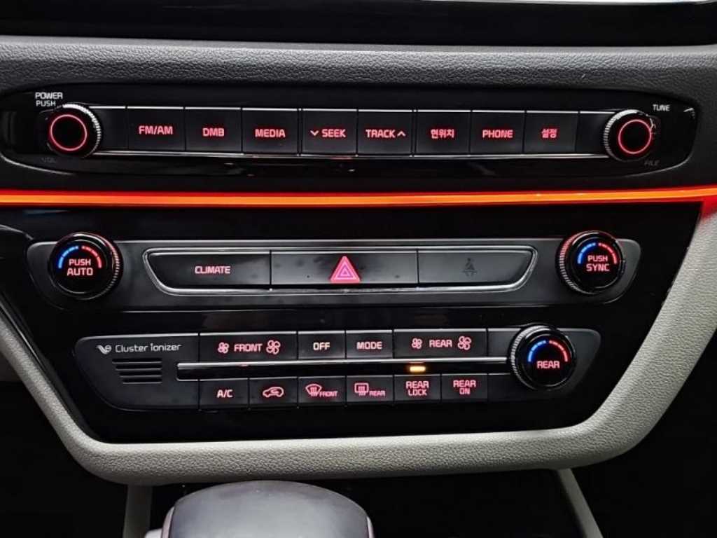 KIA Carnival - Vista 9