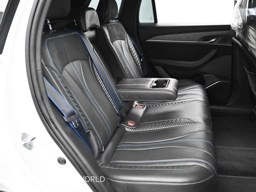 SAMSUNG Grand Koleos - Vista 12