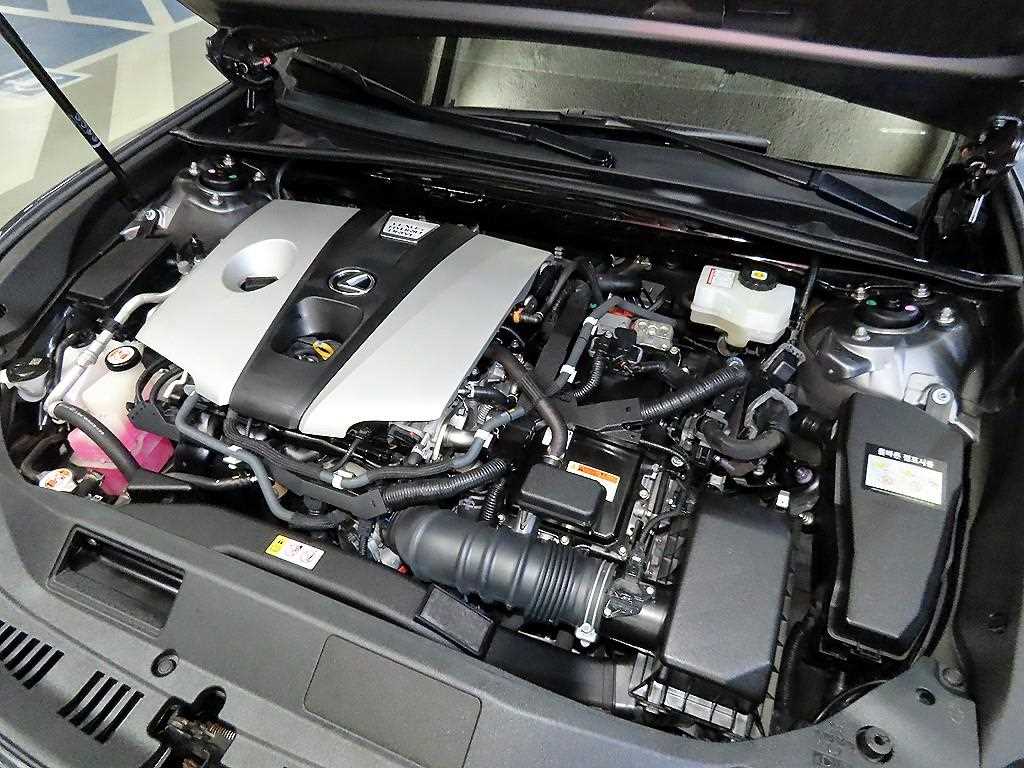 Lexus ES 2020 Gris - Importación desde Corea - HF Imports Iquique - Foto 19