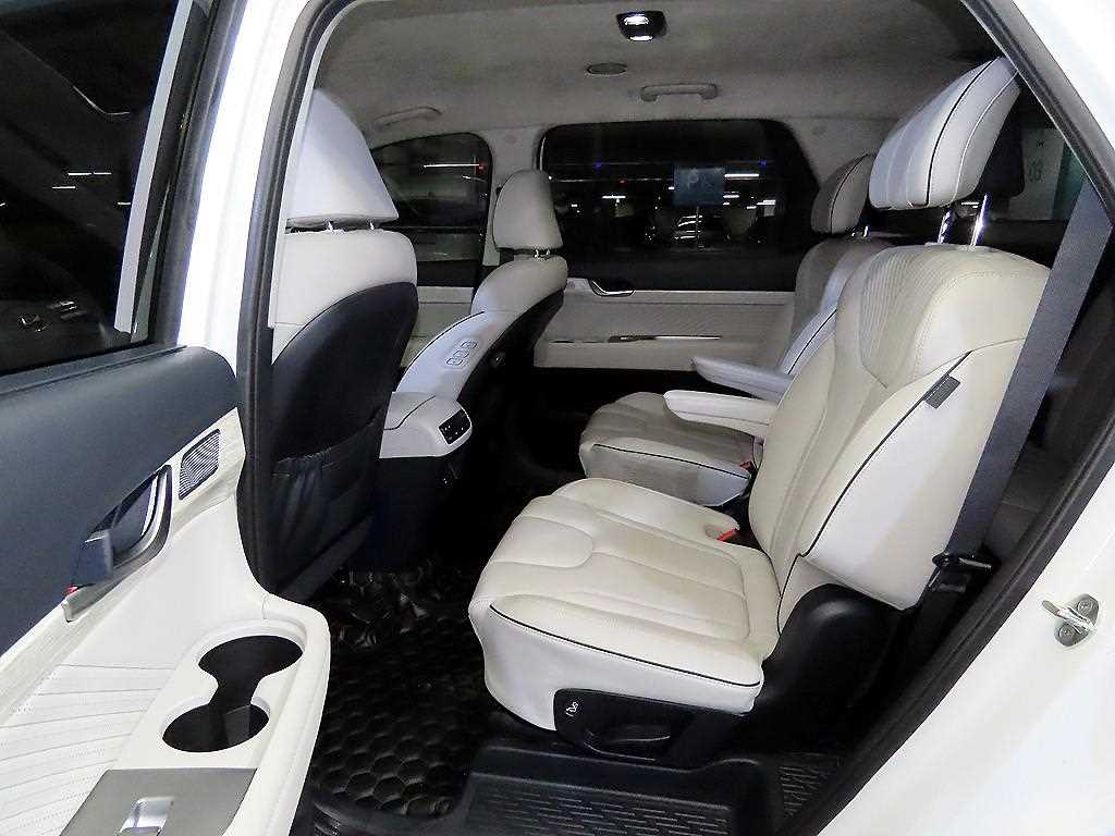 HYUNDAI Palisade - Vista 8