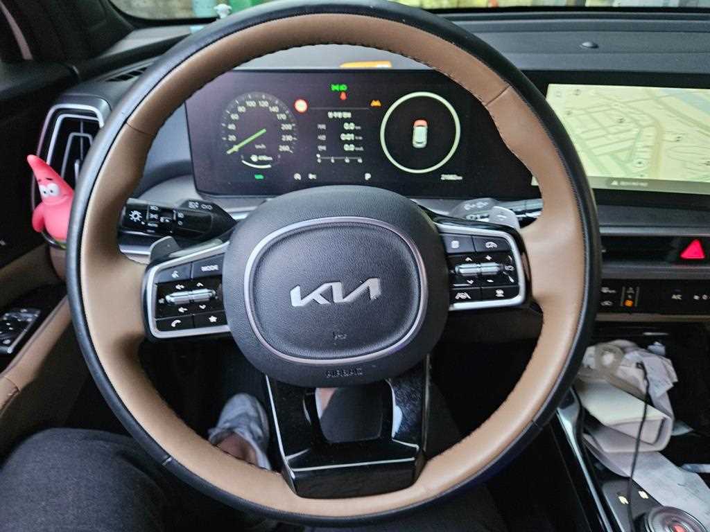 KIA Sorento - Vista 12