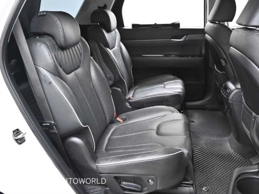 HYUNDAI Palisade - Vista 12