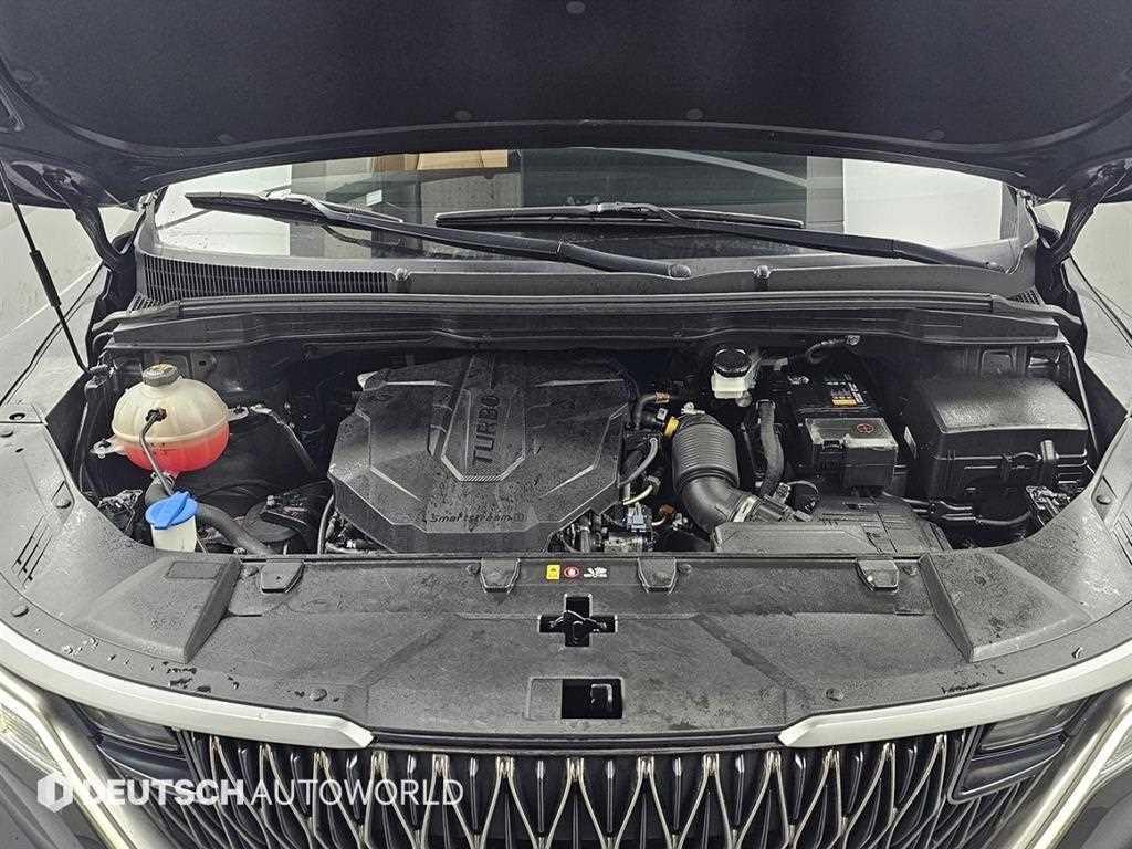 KIA Carnival - Vista 6