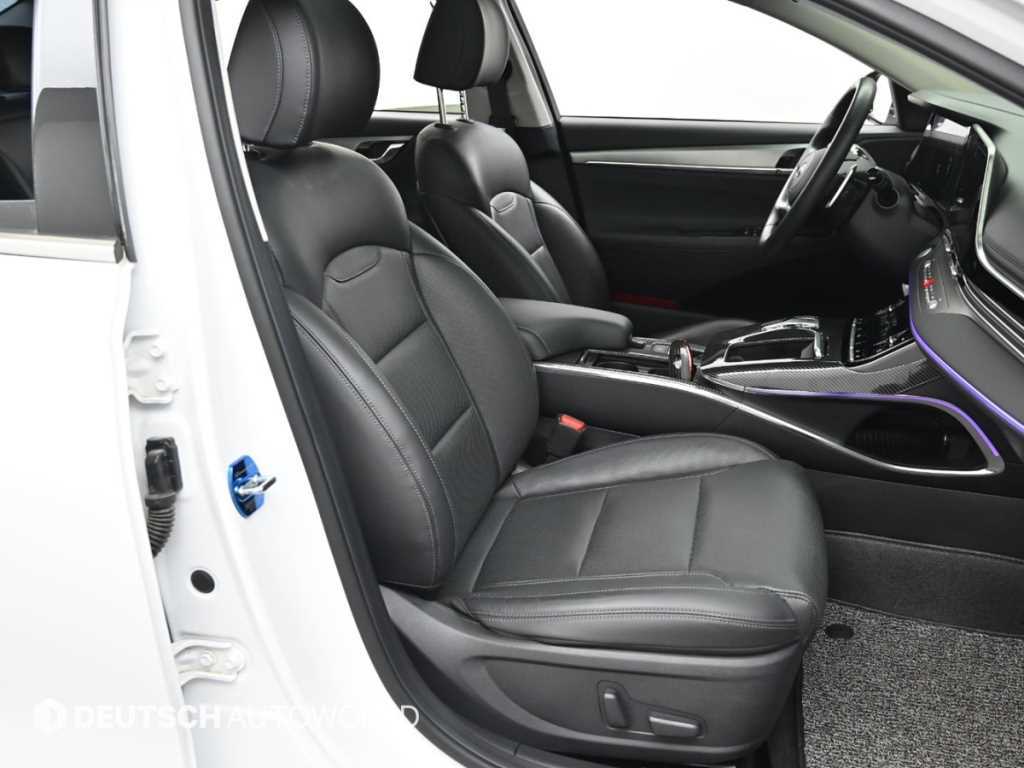 HYUNDAI Grandeur - Vista 10