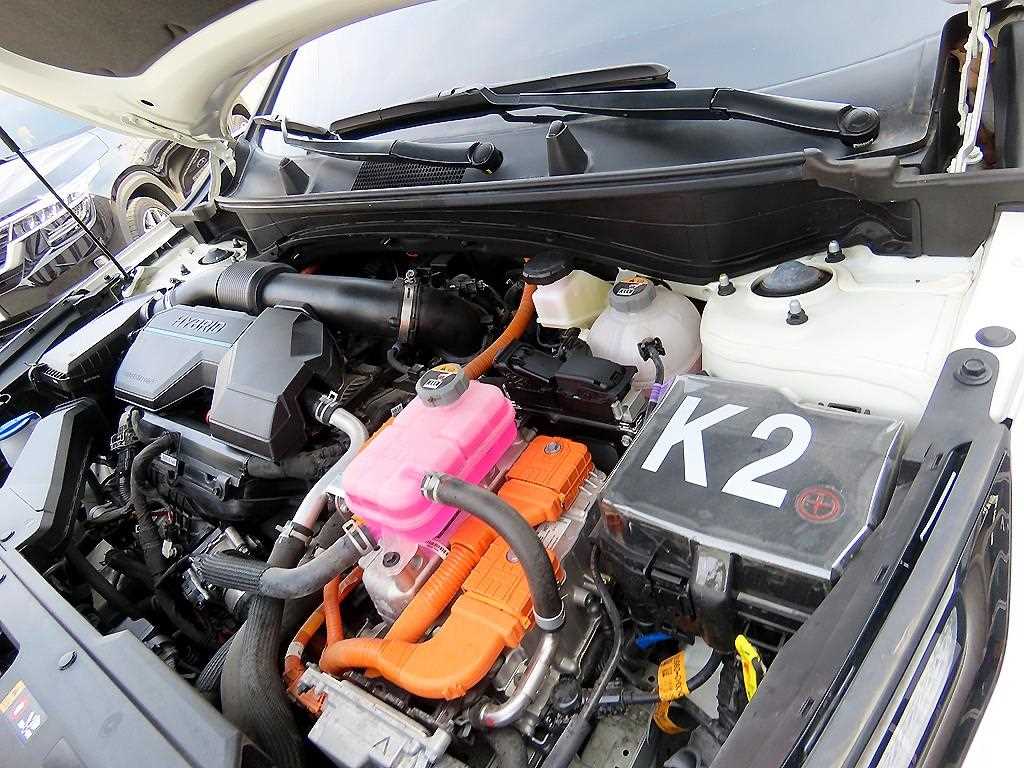 KIA Sportage 2024 Blanco - Importación desde Corea - HF Imports Iquique - Foto 19