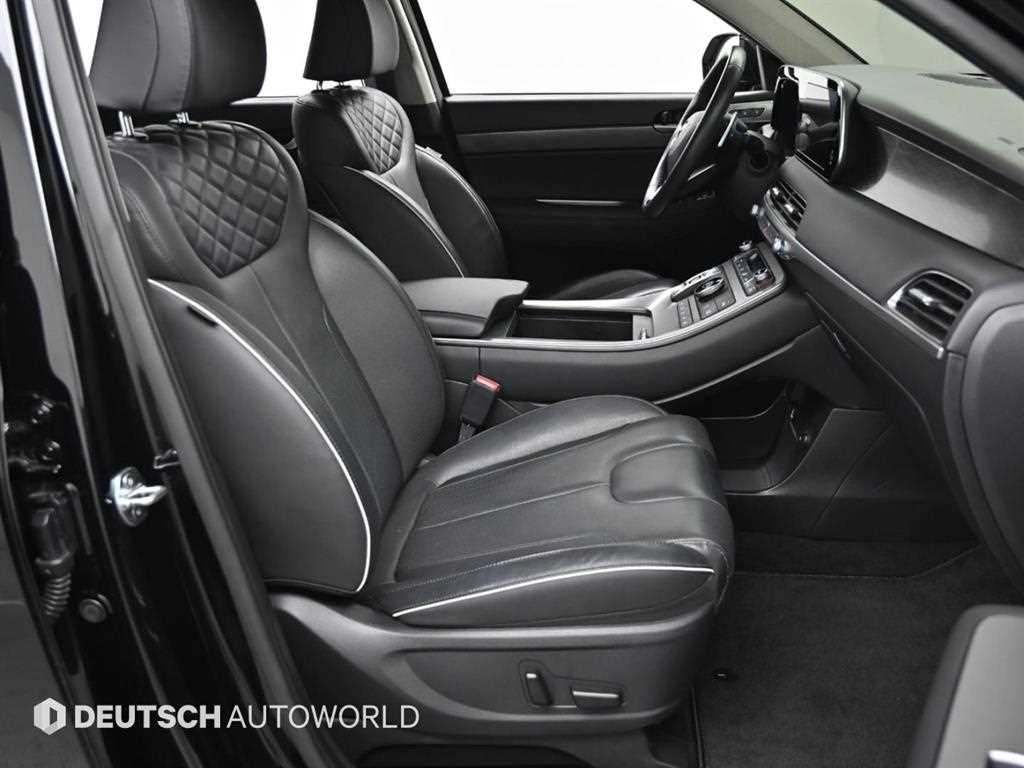 HYUNDAI Palisade - Vista 10