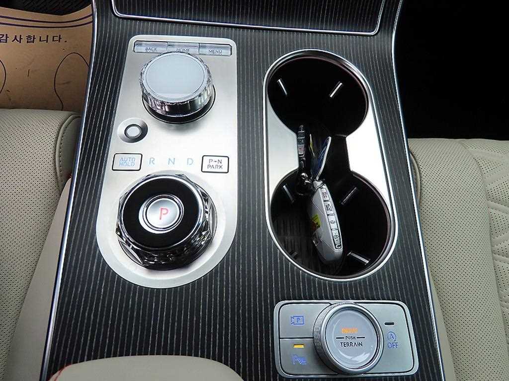 Genesis GV80 - Vista 10