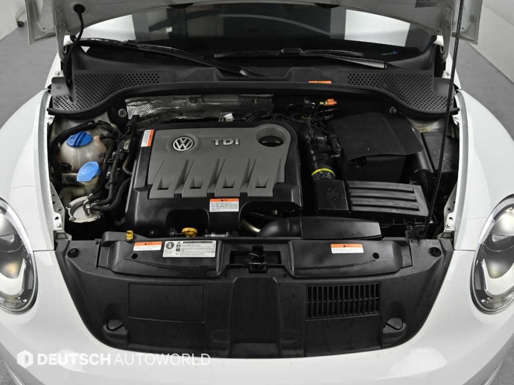 Volkswagen Beetle - Vista 6