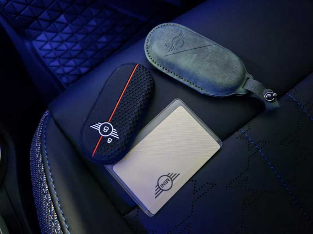 Mini Countryman - Vista 10