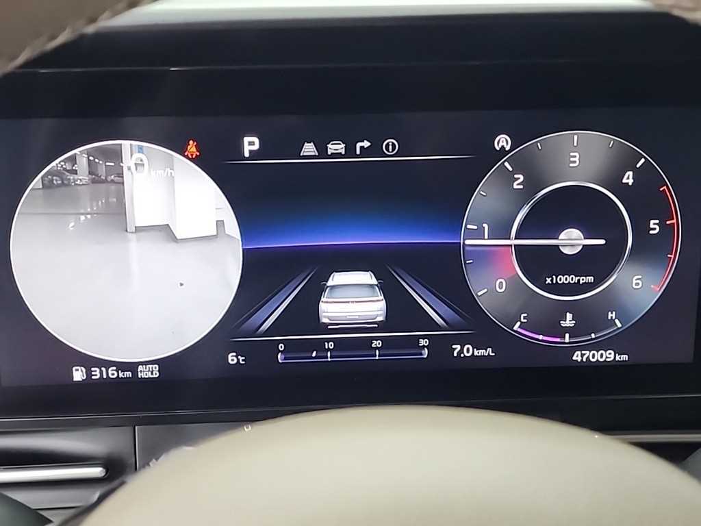 KIA Carnival - Vista 6