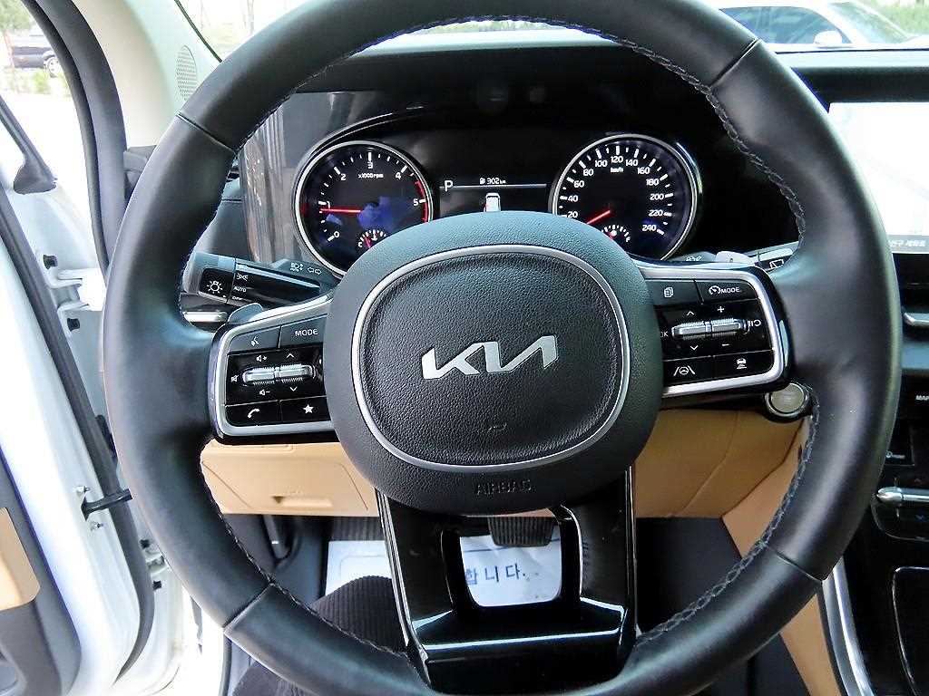 KIA Carnival - Vista 9