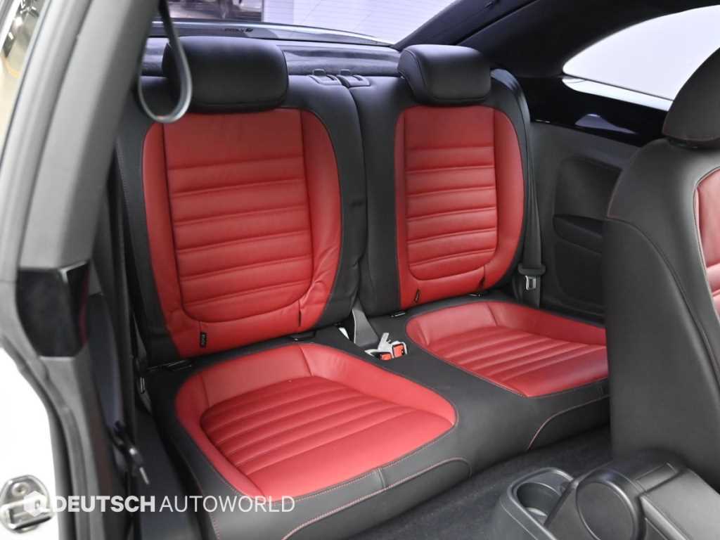 Volkswagen Beetle - Vista 12