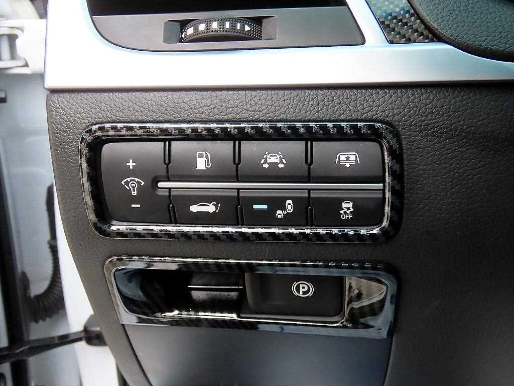 Genesis G80 - Vista 12