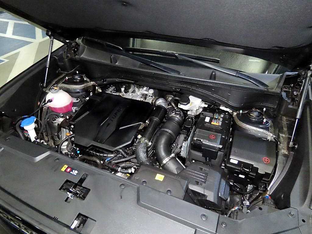 HYUNDAI Santa Fe 2024 Negro - Importación desde Corea - HF Imports Iquique - Foto 19