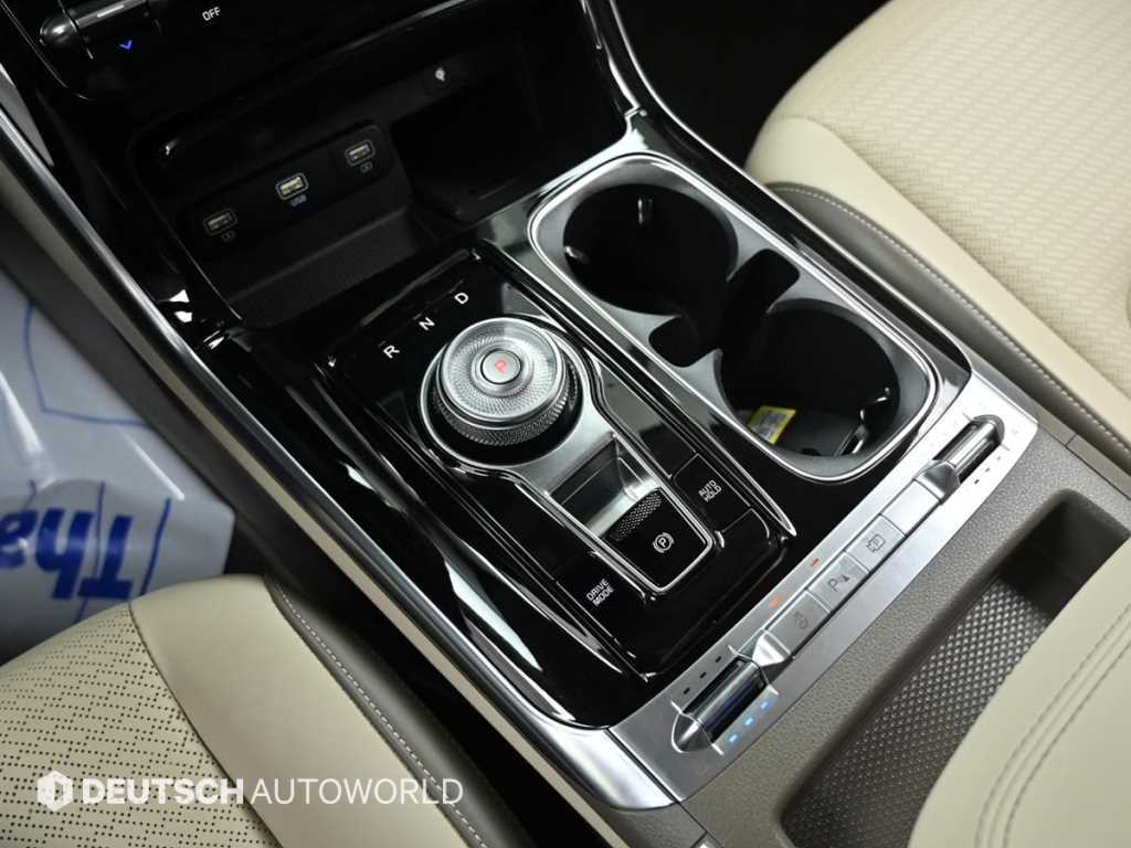 KIA Carnival - Vista 9