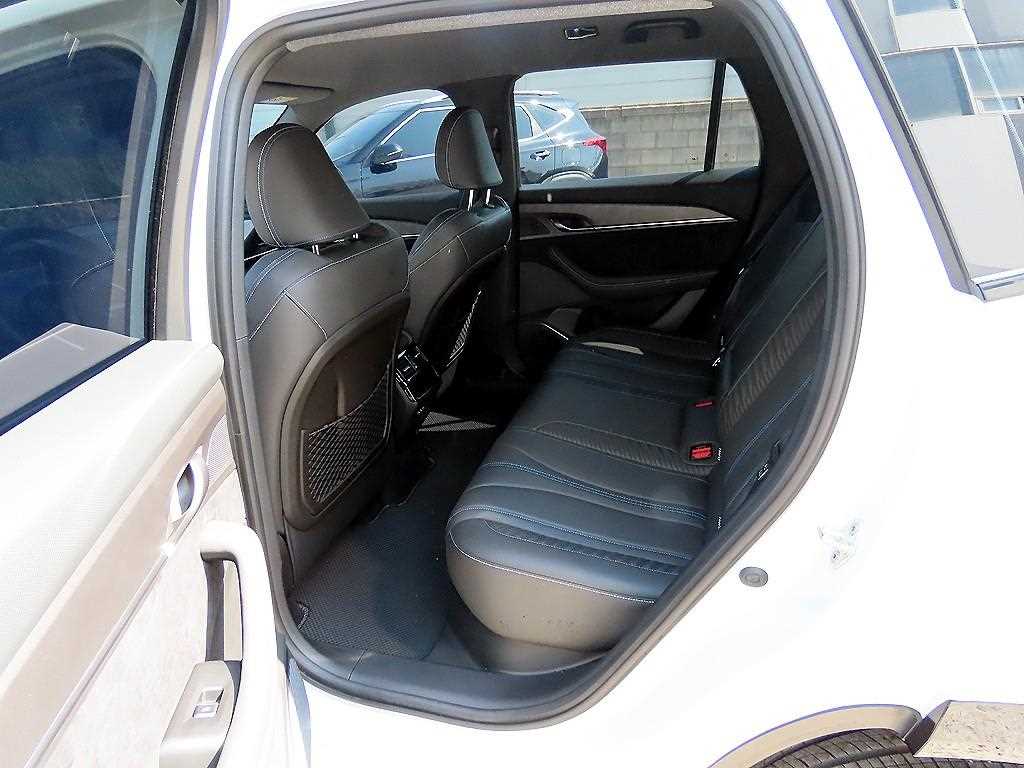 SAMSUNG Grand Koleos - Vista 6