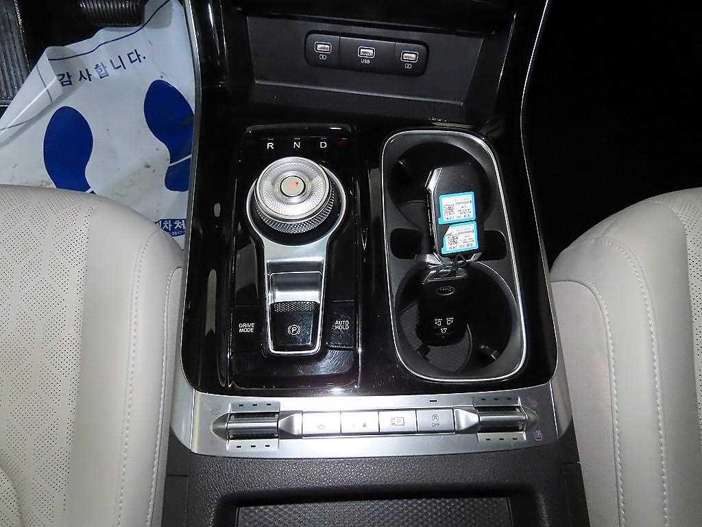 KIA Carnival - Vista 12