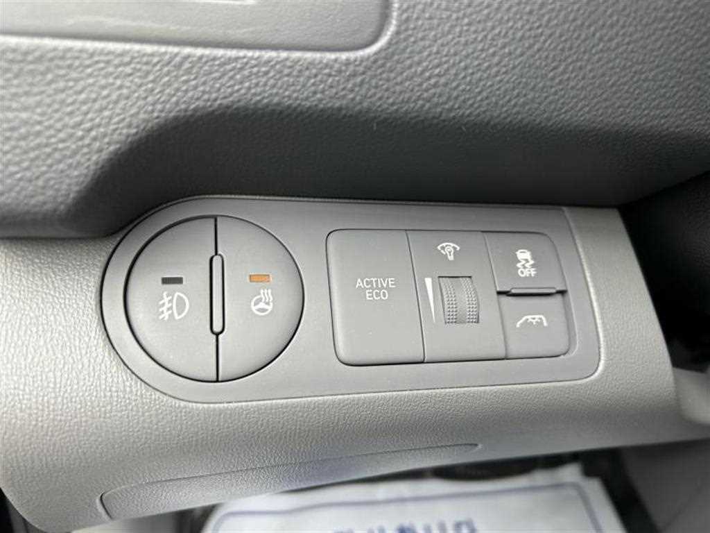 HYUNDAI Starex - Vista 10