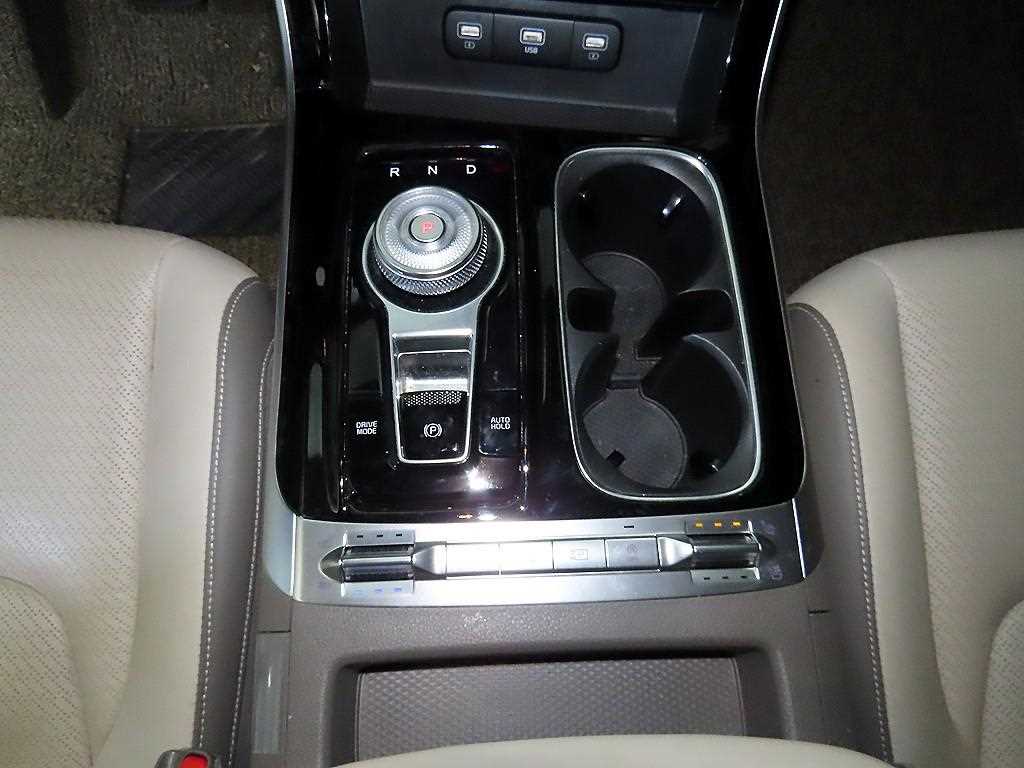 KIA Carnival - Vista 12