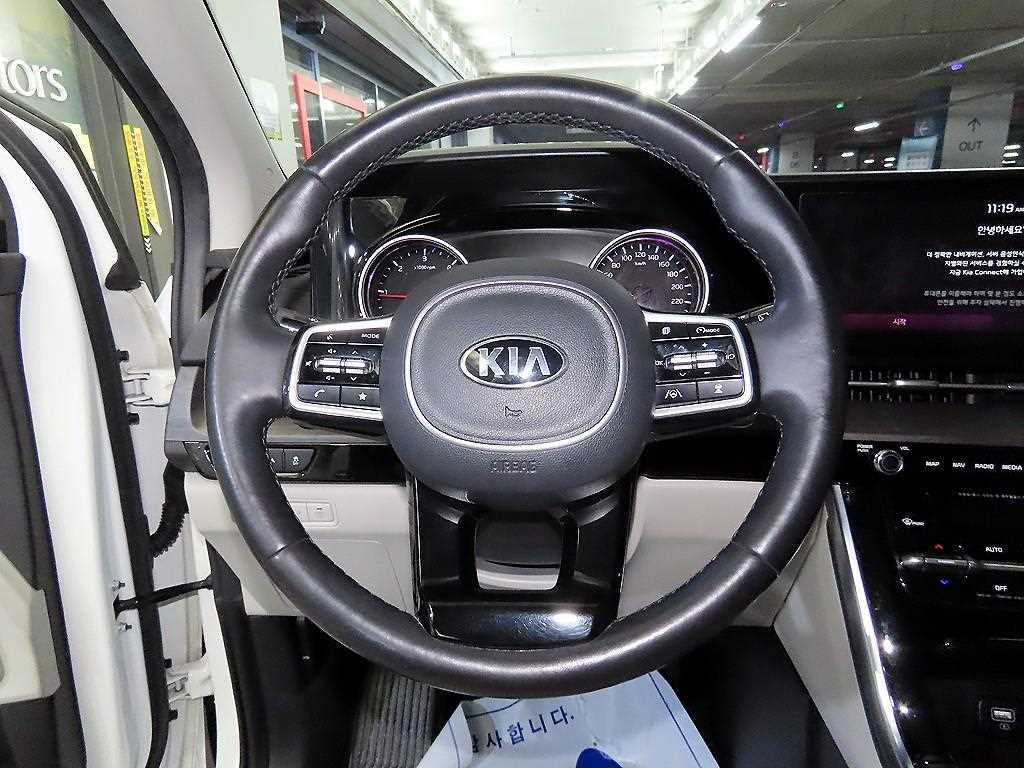 KIA Carnival - Vista 8