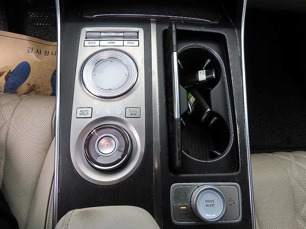 Genesis GV80 - Vista 10