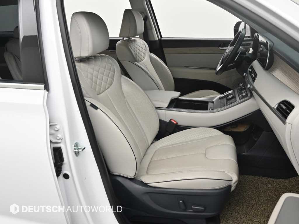 HYUNDAI Palisade - Vista 10