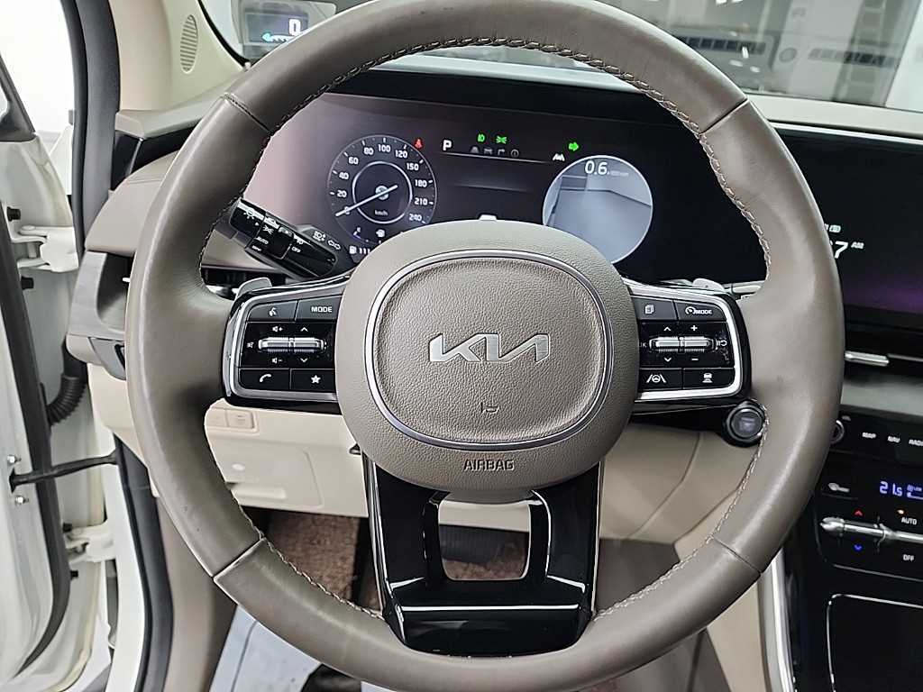 KIA Carnival - Vista 9