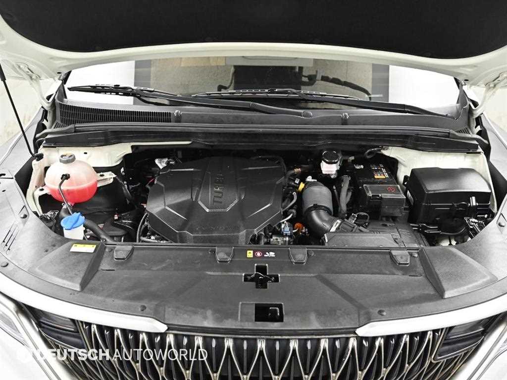 KIA Carnival - Vista 6