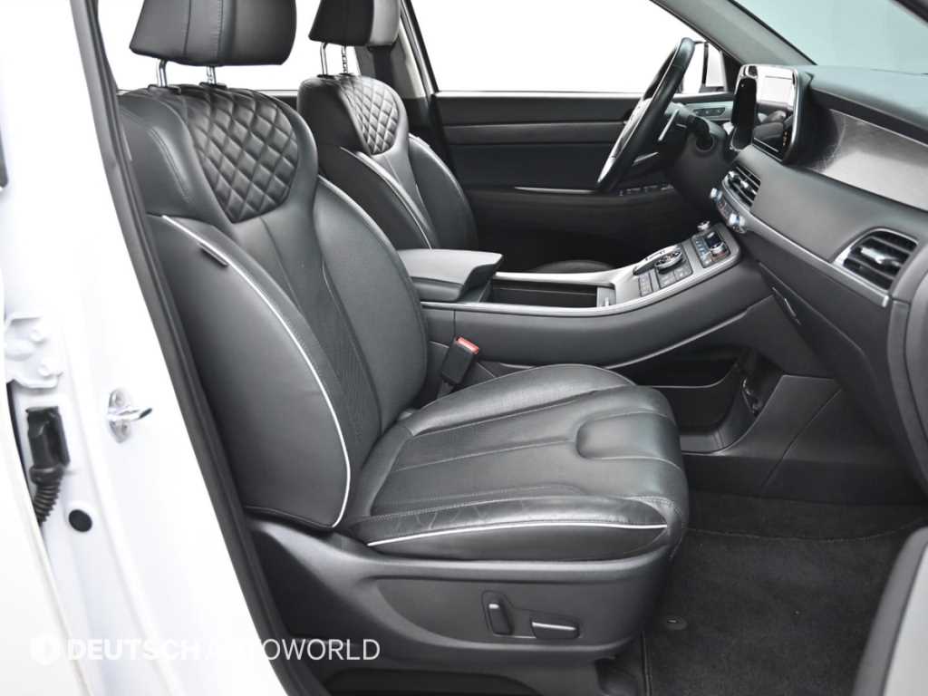 HYUNDAI Palisade - Vista 10