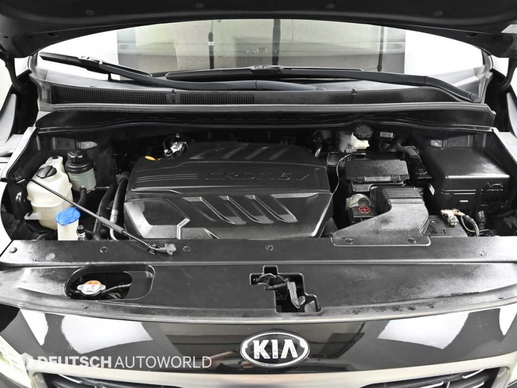 KIA Carnival - Vista 6