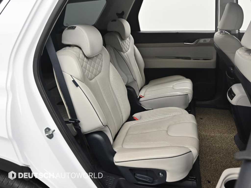 HYUNDAI Palisade - Vista 12