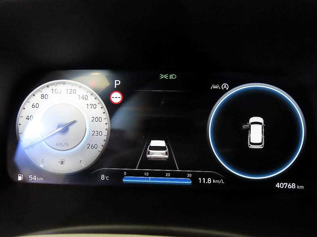 HYUNDAI Palisade - Vista 10